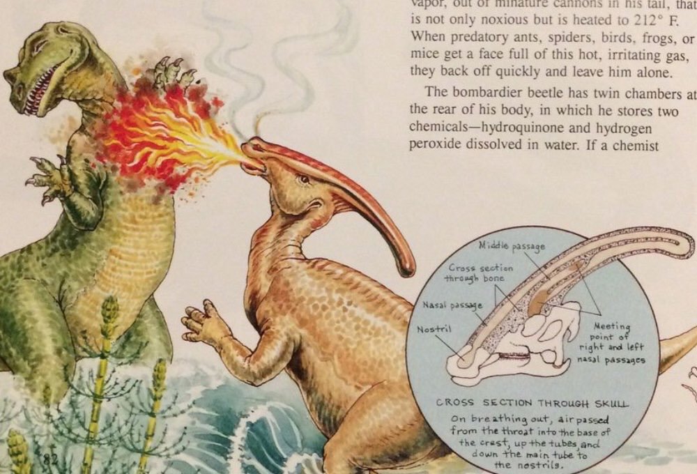 The fire breathing Parasaurolophus from Duane T. Gish’s books Dinosaurs By Design and Dinosaurs: Those Terrible Lizards. Despite having no evidence supporting it and being repeatedly debunked many people still share the theory and believe it to have been plausible.