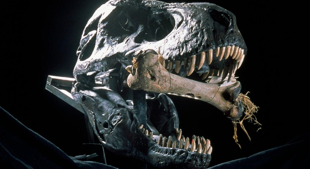 PHOTOGRAPH BY ROBERT CLARK, NATIONAL GEOGRAPHIC CREATIVE