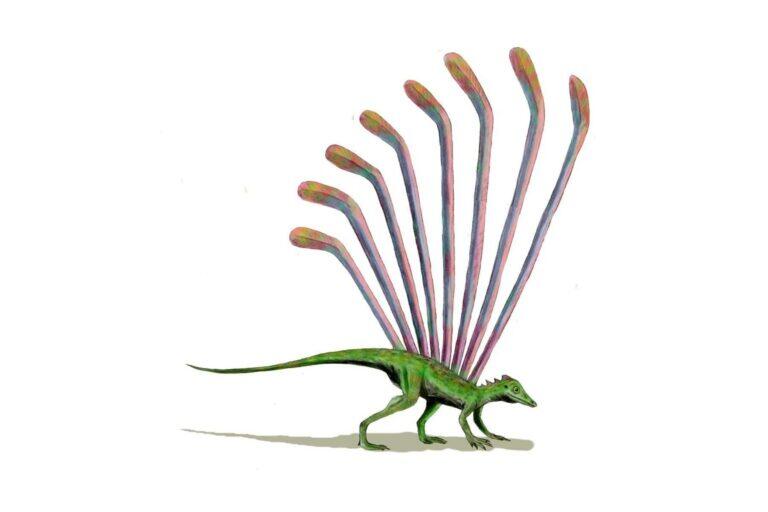 PHOTO:Nobu Tamura (http://spinops.blogspot.com) [CC BY-SA 3.0]/Wikimedia Commons