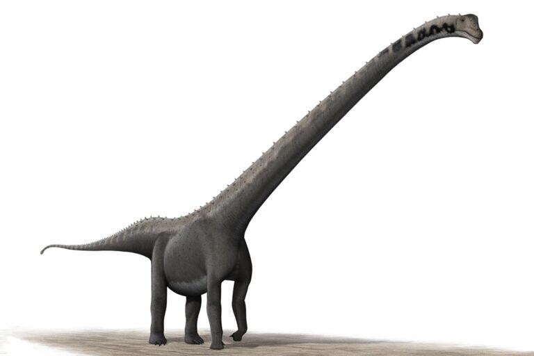 PHOTO:I,Steveoc 86 [CC BY-SA 2.5]/Wikimedia Commons