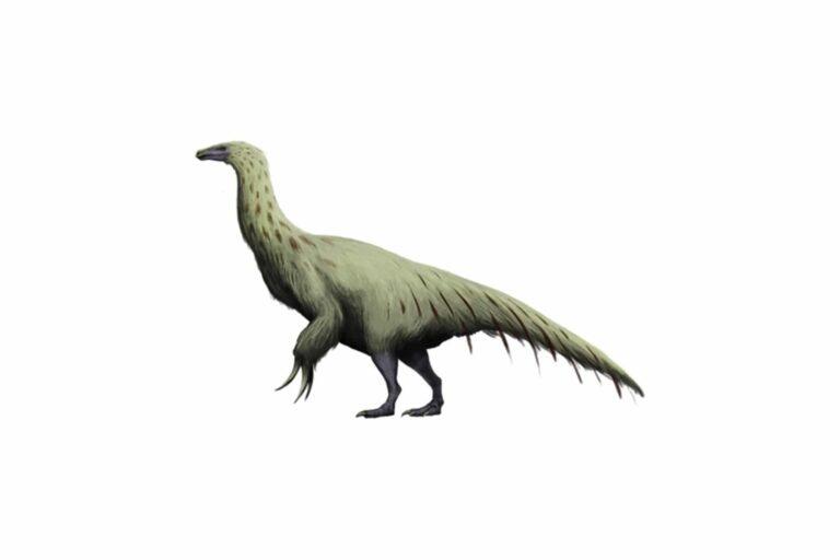 PHOTO:Mariolanzas [CC BY-SA 4.0]/Wikimedia Commons