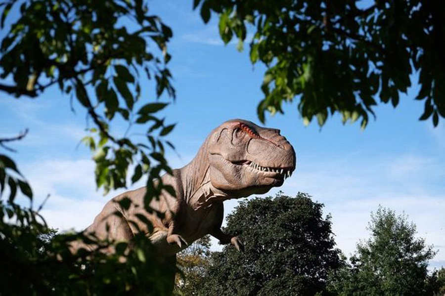 A Tyrannosaurus Rex once roamed Derbyshire (Image: PA)