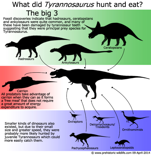 Tyranossaurus rex menu by PrehistoricWildlife.com