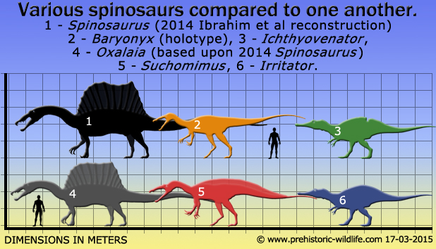 2 – Baryonyx, 3 – Ichthyovenator, 4 – Oxalaia, 5 – Suchomimus, 6 – Irritator. Artwork by PrehistoricWildlife.com