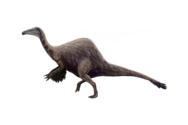 PHOTO: FunkMonk (Michael B. H.) [CC BY-SA 3.0] / Wikimedia Commons