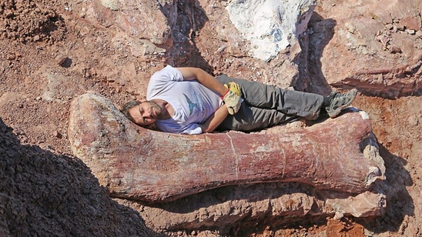 Diego Pol lying by large femur thigh bone fossil of the new titanosaur find, April 2015