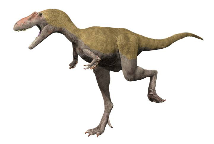 Albertosaurus life restoration