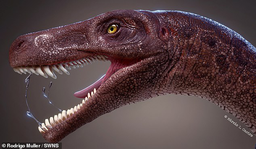 An amazingly well-preserved skeleton from the world's oldest-known meat-eating dinosaur has been unearthed in the south of Brazil. The skeleton is virtually intact — and includes razor-sharp teeth, pictured in this artist's impression, that would have made it a ferocious killer