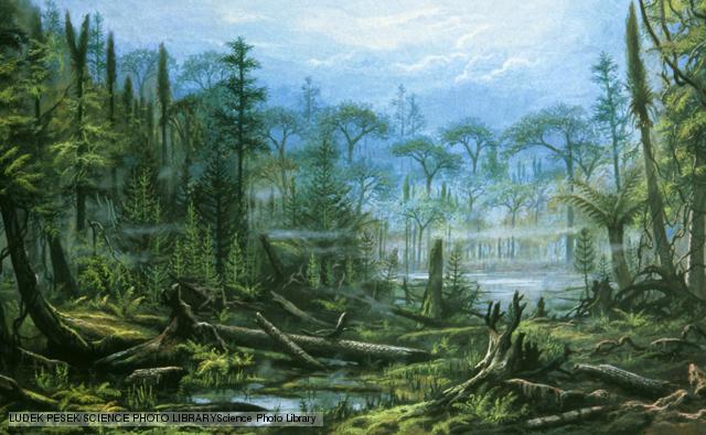 An artist’s impression of a Carboniferous forest