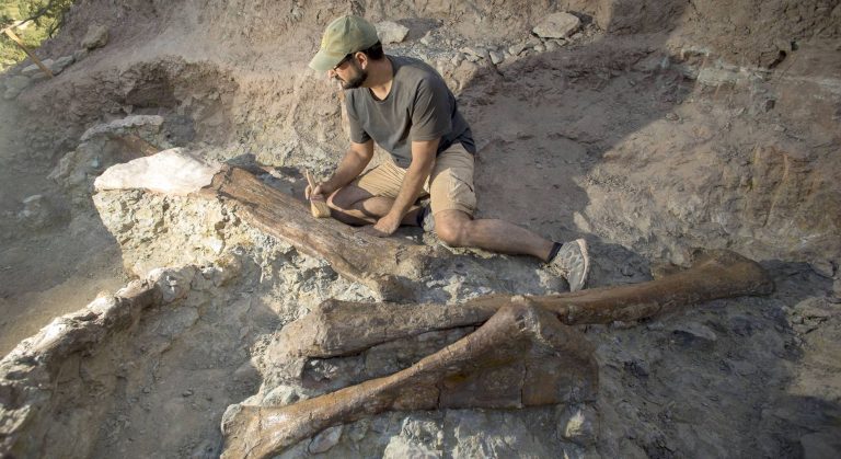 An image of the bones found next to paleontologist Fernando Escaso. Ángel Sánchez