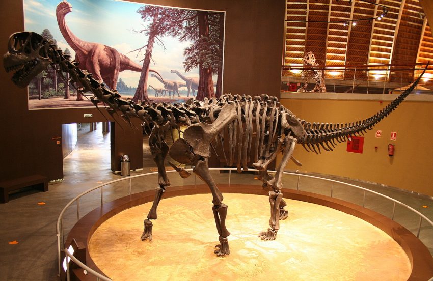 Mounted skeletal cast at the Jurassic Museum of Asturias 