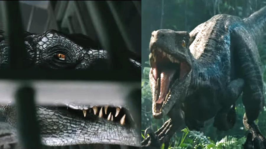 Velociraptor vs Indoraptor (JW:FK)