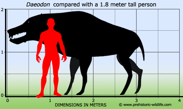 Daeodon by Prehistoric Wildlife