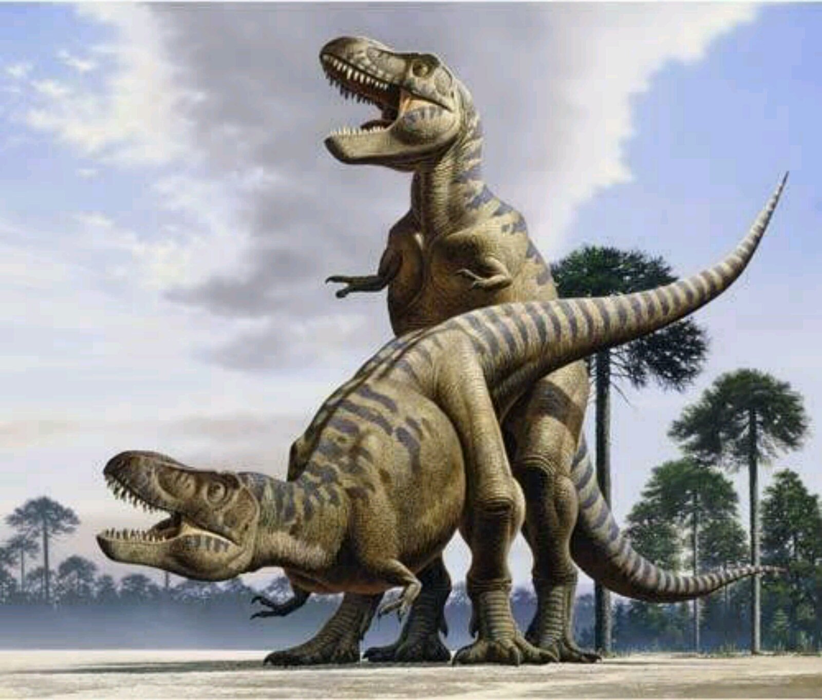 Dinosaur Sex. 