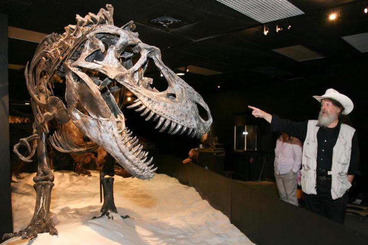Dr. Bob Bakker of the Houston Museum of Natural Science (HMNS) with Gorgosaurus.