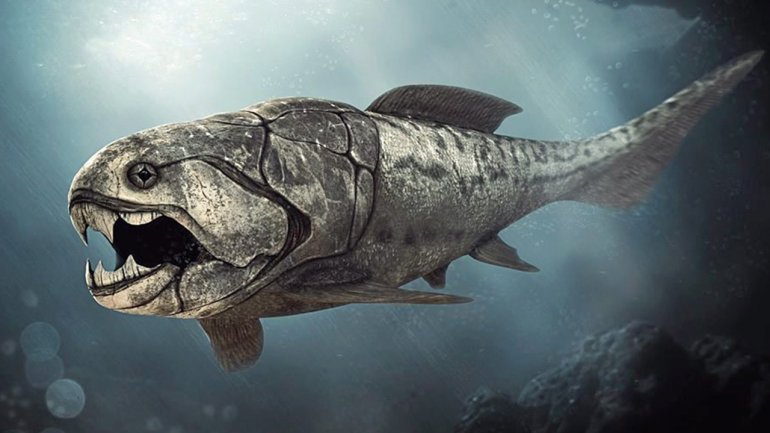 Dunkleosteus by Nobu Tamura