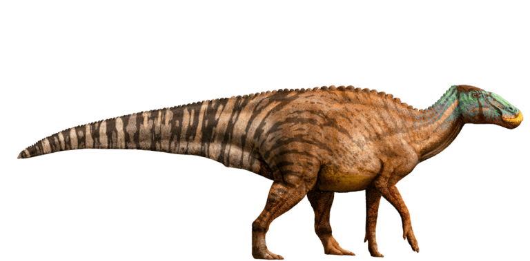Edmontosaurus by William Sepulveda