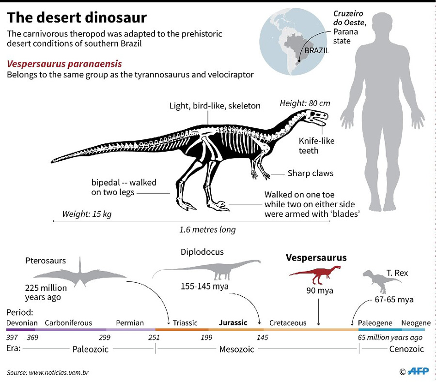 Factfile on the carnivorous theropod dinosaur, adapted to the prehistoric desert conditions of southern Brazil 90 million years ago