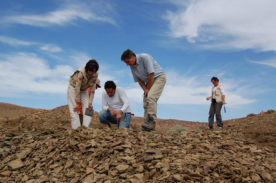 The Fezouata fossil site in Morocco, where Cantabrigiaster fezouataensis was uncovered. Credit: University of Cambridge