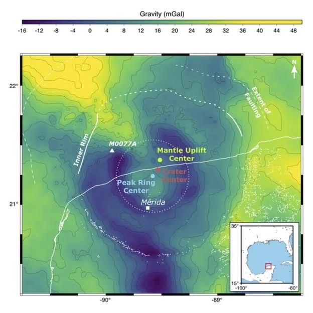 G.COLLINS Image caption Gravity measurements trace the central features of the Chicxulub Crater