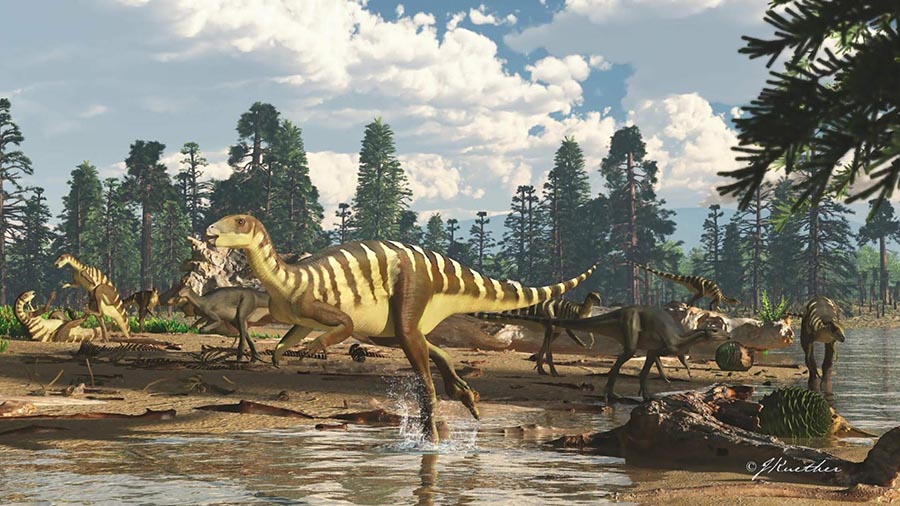 Galleonosaurus dorisae. Image credit: James Kuether.