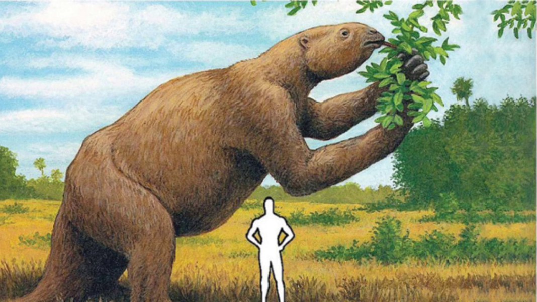 Giant 5Ton Sloth Inhabited Costa Rica’s Territory 7 Million Years Ago