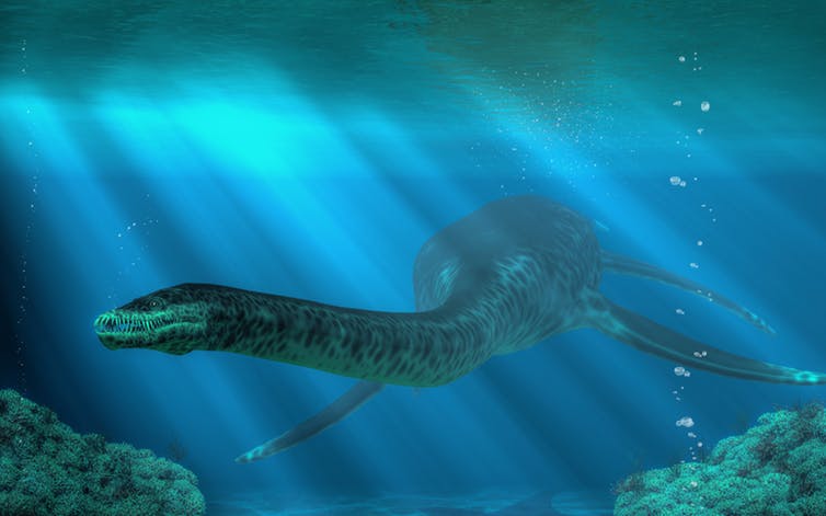 Huge reptiles called plesiosaurs once swam in the ocean. Shutterstock