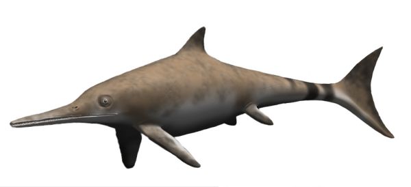 CGI restoration of Ichthyosaurus communis
