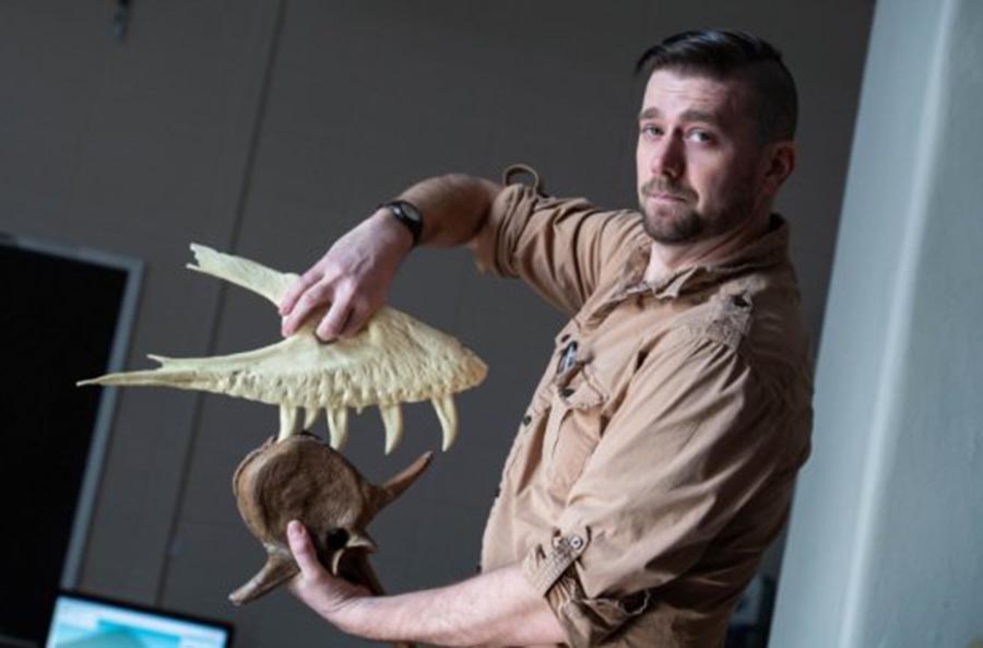 Joseph Peterson, a vertebrate paleontologist at the University of Wisconsin Oshkosh, demonstrates how a T. rex takes a bite. Credit: Patrick Flood, UW Oshkosh