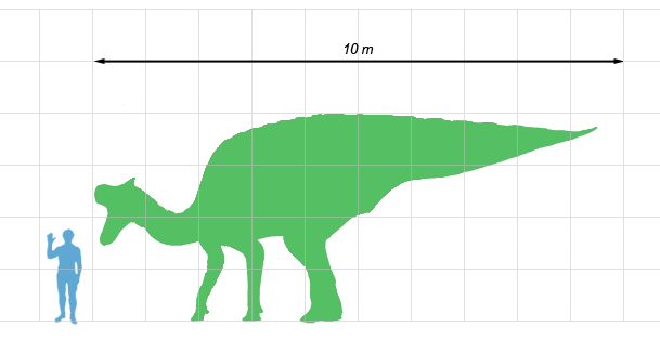 L. lambei compared to a human by Dinoguy2