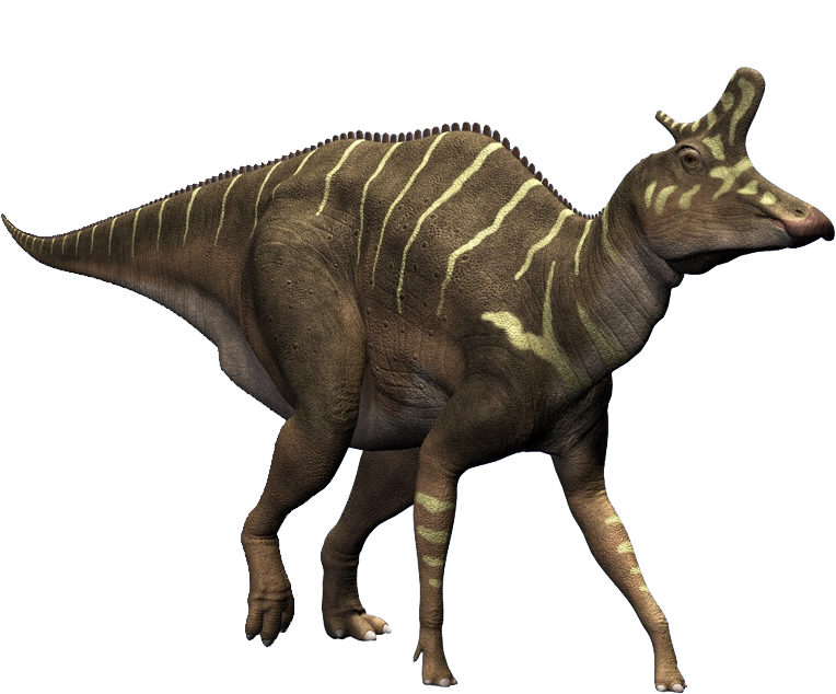 Lambeosaurus reconstruction