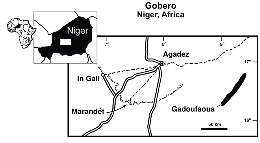 Location of outcrops of the Elrhaz Formation where fossils of Nigersaurus taqueti were found.