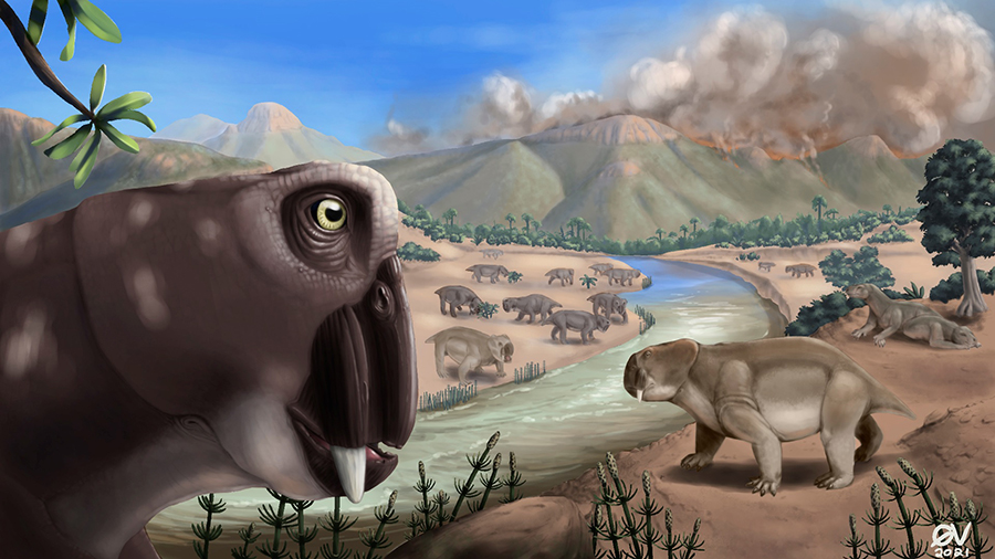 An illustration shows Lystrosaurus during the end-Permian mass extinction. (Credit: Gina Viglietti)