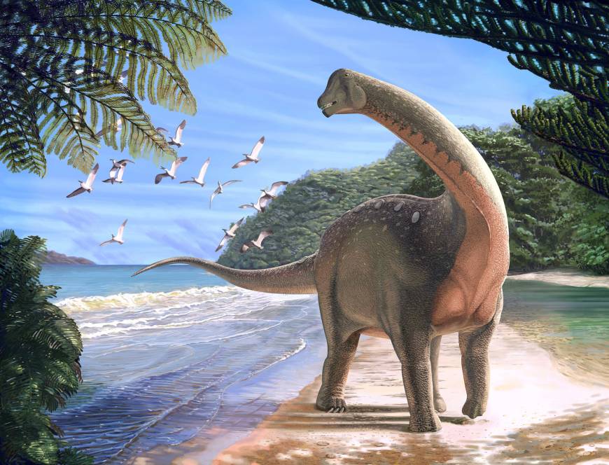 The titanosaurian dinosaur Mansourasaurus shahinae is depicted in an artist's drawing. The dinosaur lived on the coast of what is now the western desert of Egypt approximately 80 million years ago. | REUTERS