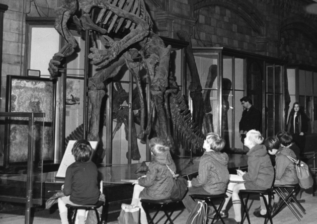Members of the 'Young Explorers', a group organised by the British Wildlife Society, sketching a skeleton of the Iguanodon dinosaur at the Natural History Museum in London. Picture: Harry Todd/Fox Photos/Getty Images