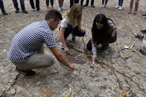 Scientists and officials on the site where the footprint has been discovered (Image: CEN/Dinopark Munchehagen)