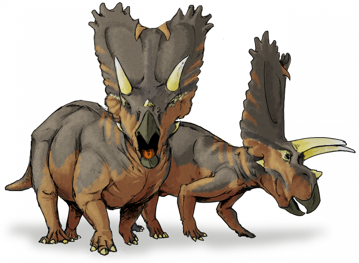 Life restoration of ceratopsid specimen OMNH 10165, classified as the species Titanoceratops ouranos. A ceratopsid genus from the Late Cretaceous Period Kirtland or Fruitland formation (Willow Wash Fauna, Kirtlandian age) of what is now New Mexico by LadyofHats