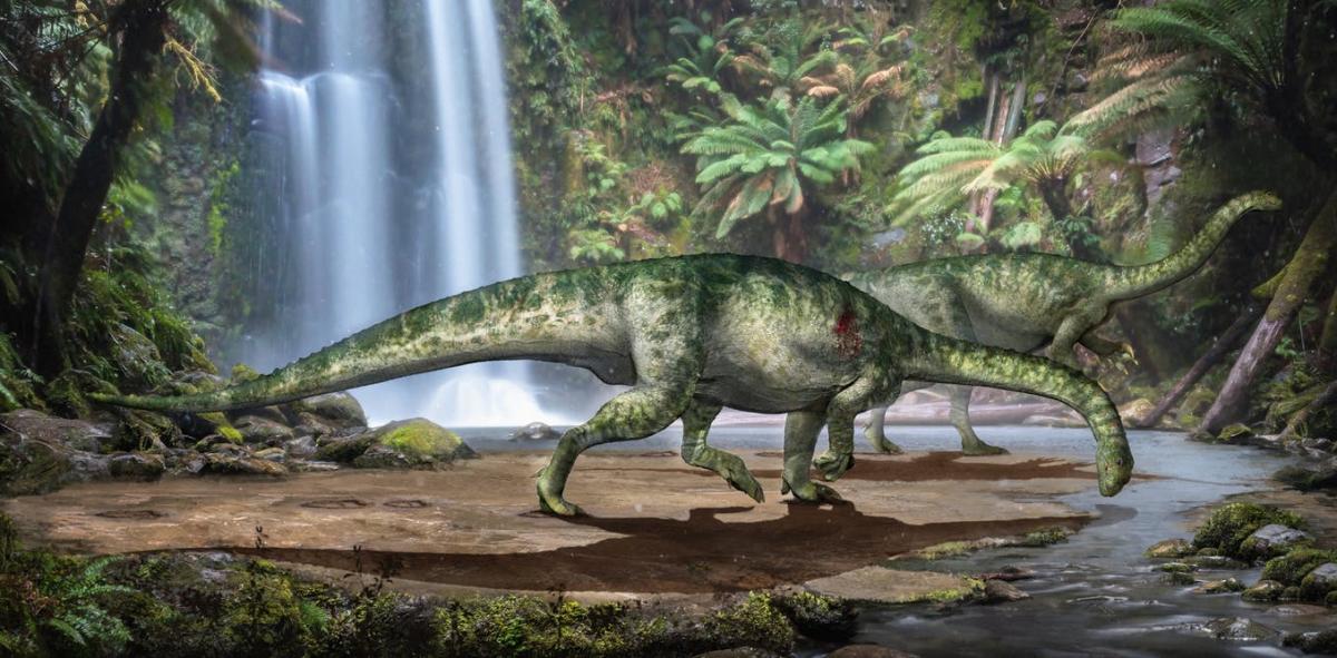 Reconstruction of the bite wound affecting the shoulder of our herbivorous dinosaur. Zongda Zhang/Lida Xing, CC BY-SA