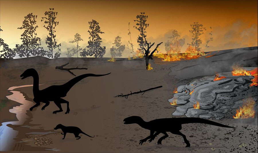Reconstruction of the environment set alight by a volcanic flowBordy et al, 2020