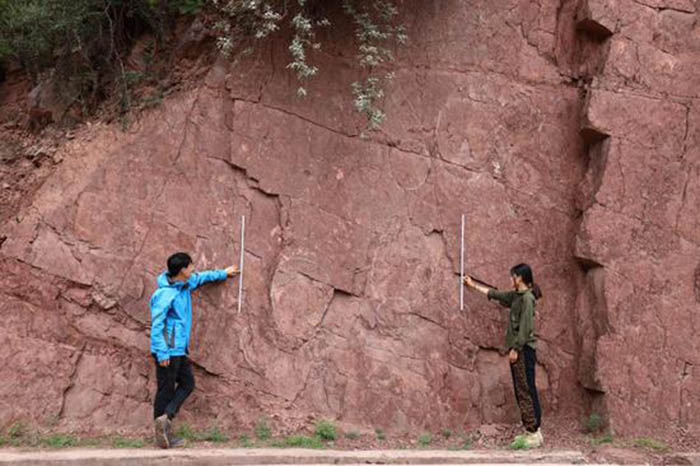 Researchers work at a dinosaur footprint site in Qamdo, southwest China's Tibet Autonomous Region, April 3, 2019. (Provided to Xinhua)