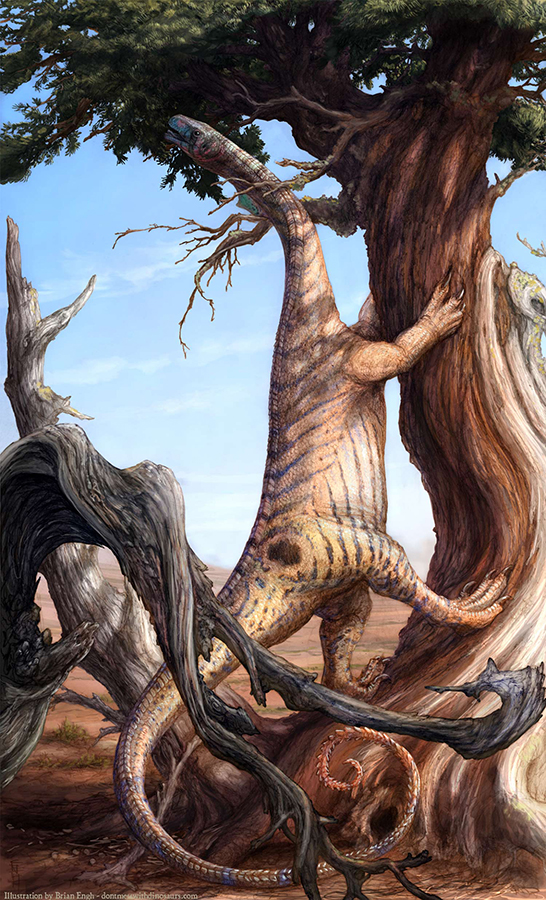Life restoration of Sarahsaurus aurifontanalis. Image credit: Brian Engh, www.dontmesswithdinosaurs.com.