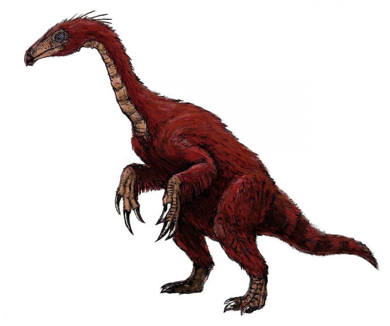 Segnosaurus restoration
