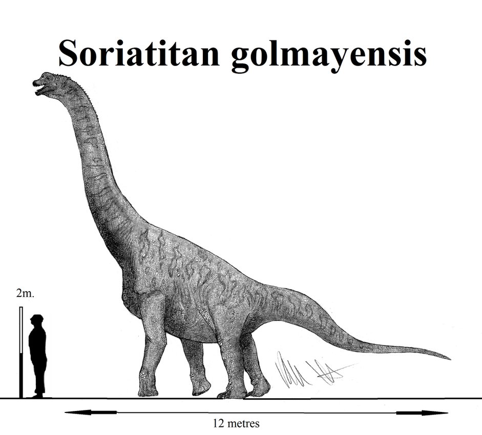 Soriatitan golmayensis by Teratophoneus on DeviantArt
