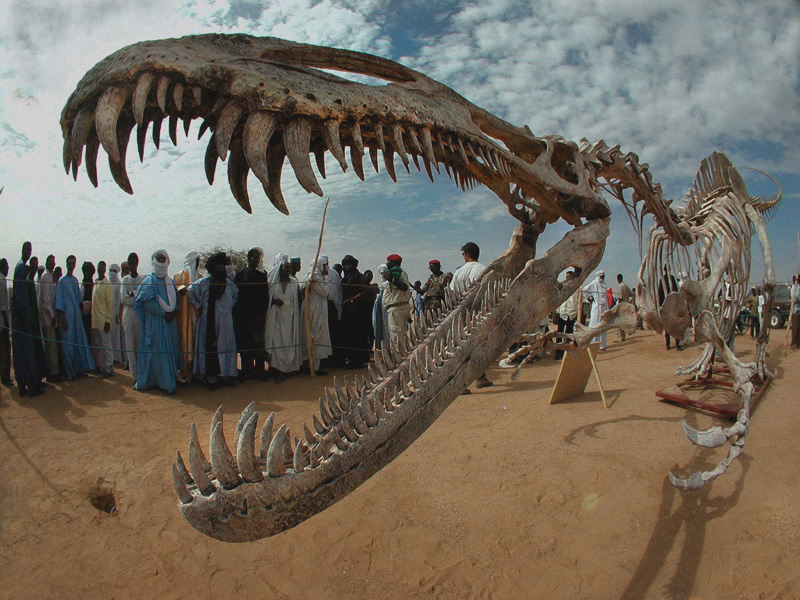 "Dino Suchomimus Eating Crowd", photo by Mike Hettwer
