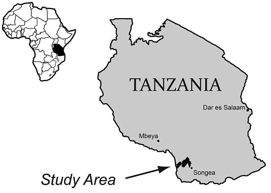 Bones of Nyasasaurus parringtoni were collected in southwest Tanzania in the 1930s from the Manda beds, which preserves fossils of many animals from the Triassic Period of Earth’s history.U of Washington