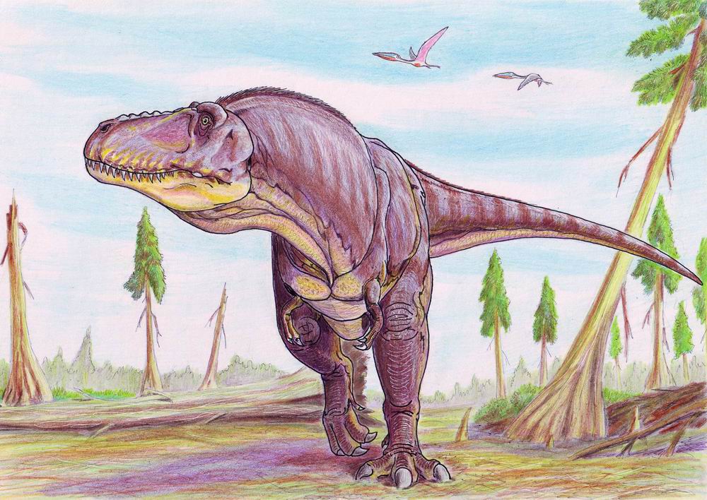 Tarbosaurus by Dmitry Bogdanov