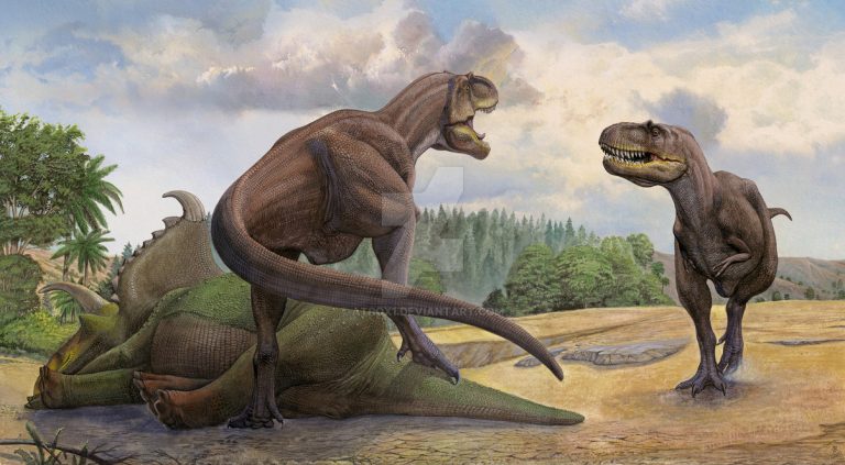 Teratophoneus and Kosmoceratops by atrox1