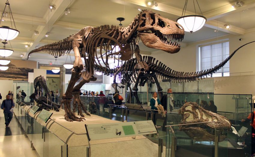 The Best Dinosaur Museums in the U.S.