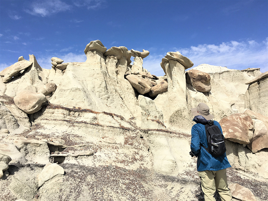 The Bisti Wilderness, about 40 miles south of Farmington, New Mexico, offers 45,000 acres of badlands, some of it eerily unearthly. Sixty-five million years ago, this was a tropical river delta, home to dinosaurs that are unique to this area. Paleontologists say there still are many fossils to be discovered here. Photo by E’Louise Ondash