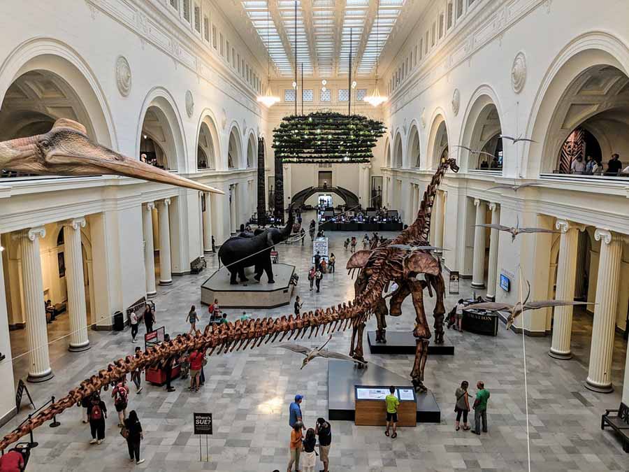 The Field Museum | Chicago, Illinois 